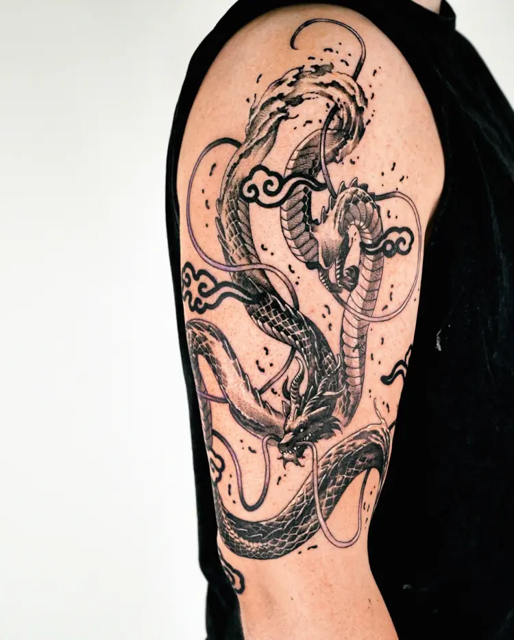 Animal, Snake