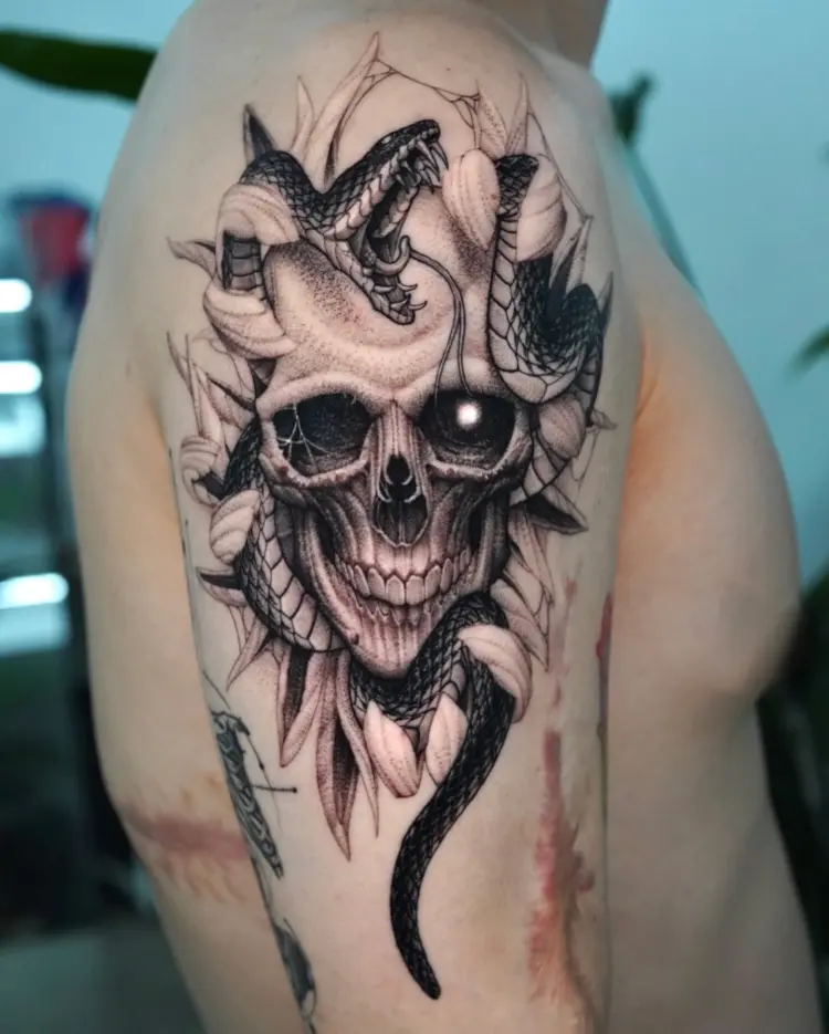Skull, Nature, Snake