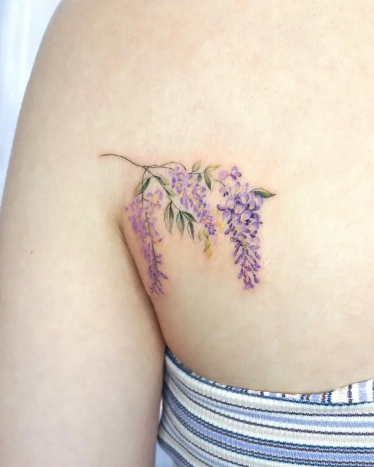 Flower, Nature