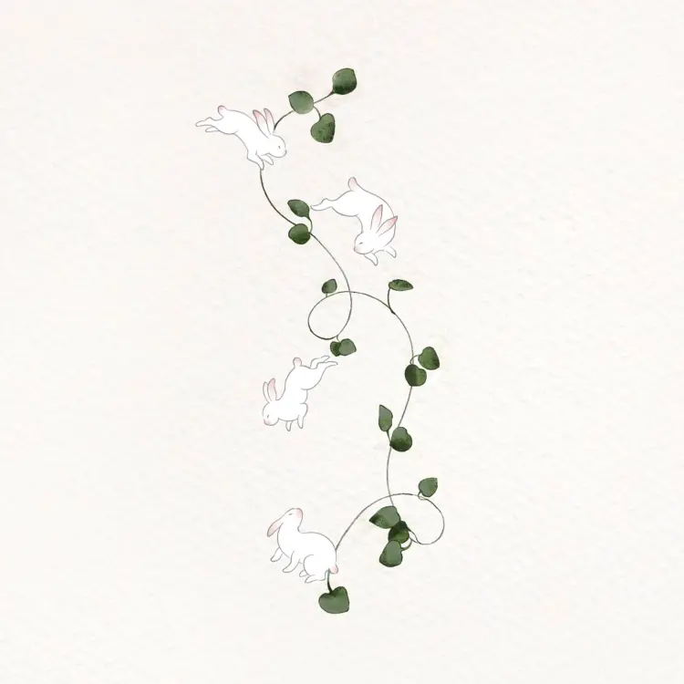 Flower, Nature, Rose