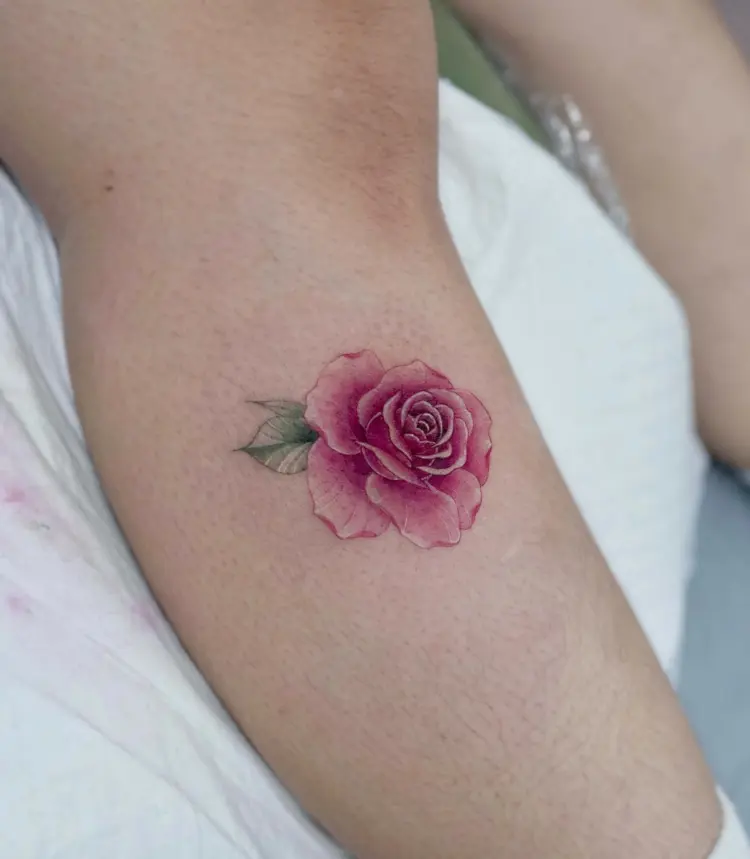 Flower, Rose
