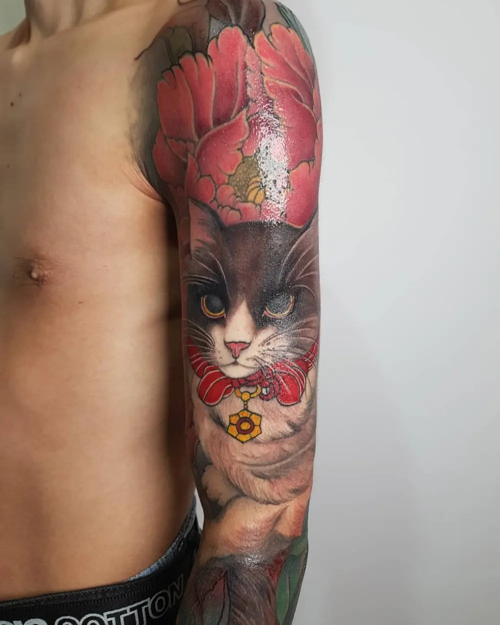 Animal