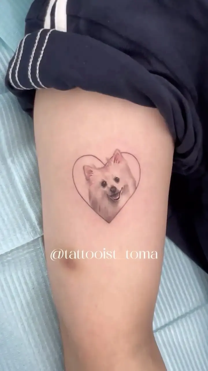 Animal
