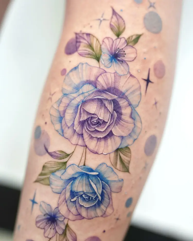 Nature, Rose, Flower