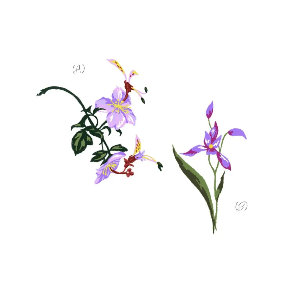 Flower