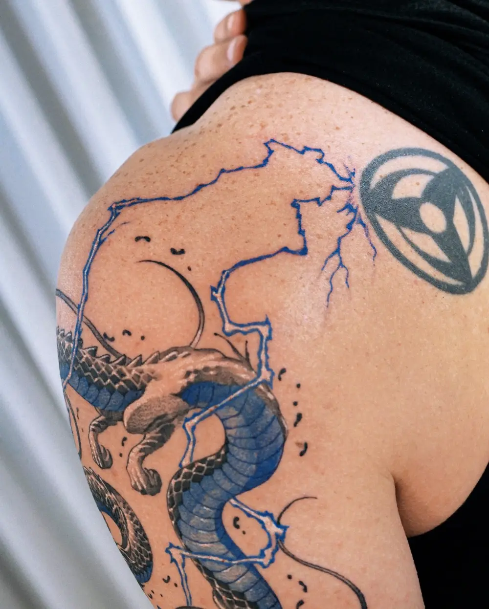 Animal, Dragon