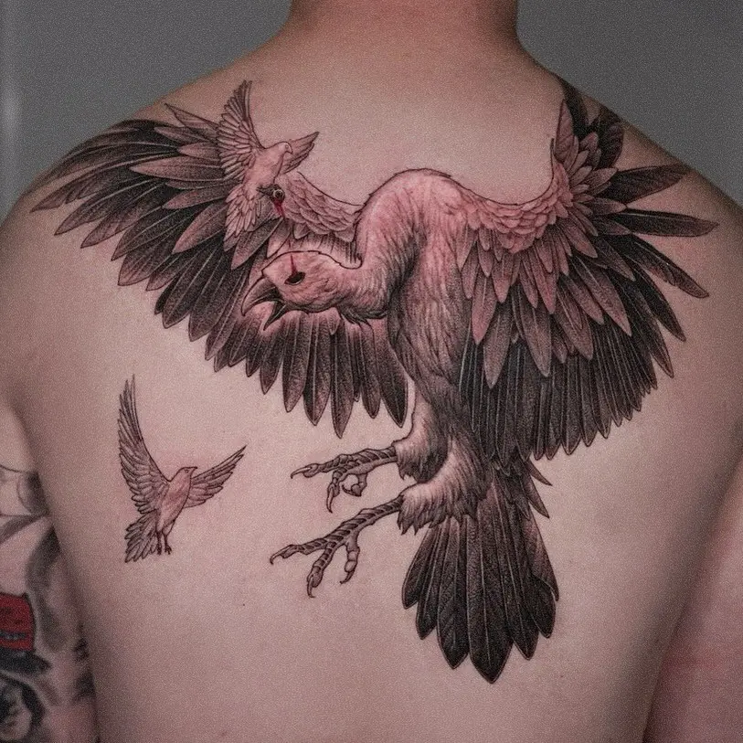 Animal