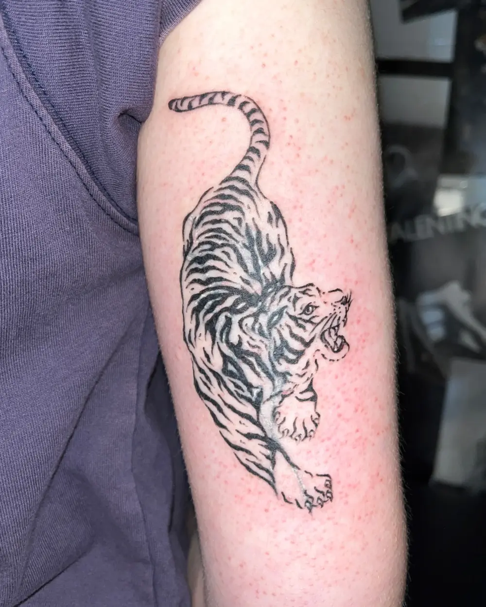 Tiger