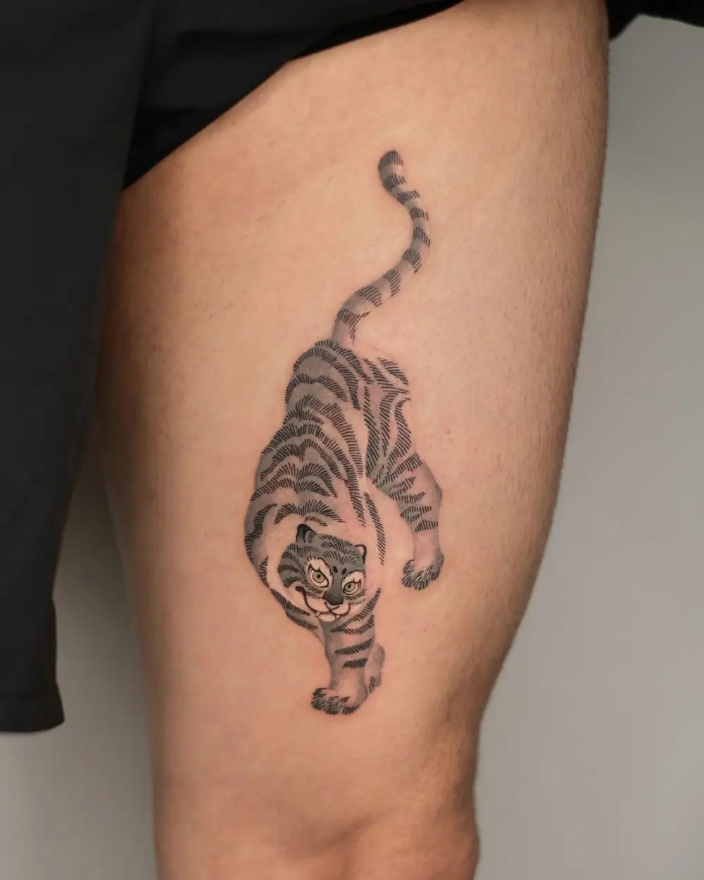 Tiger