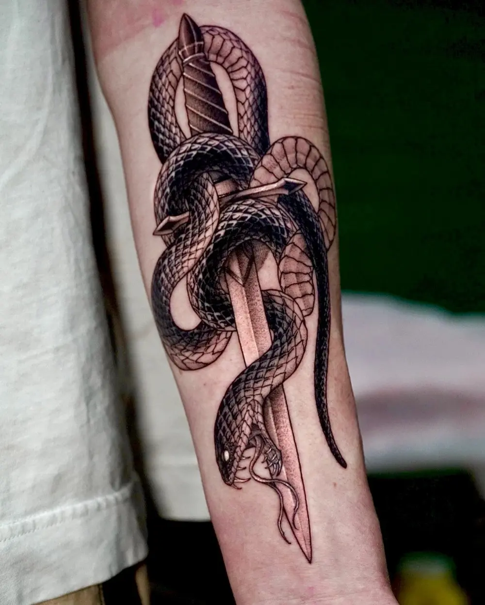 Animal, Snake