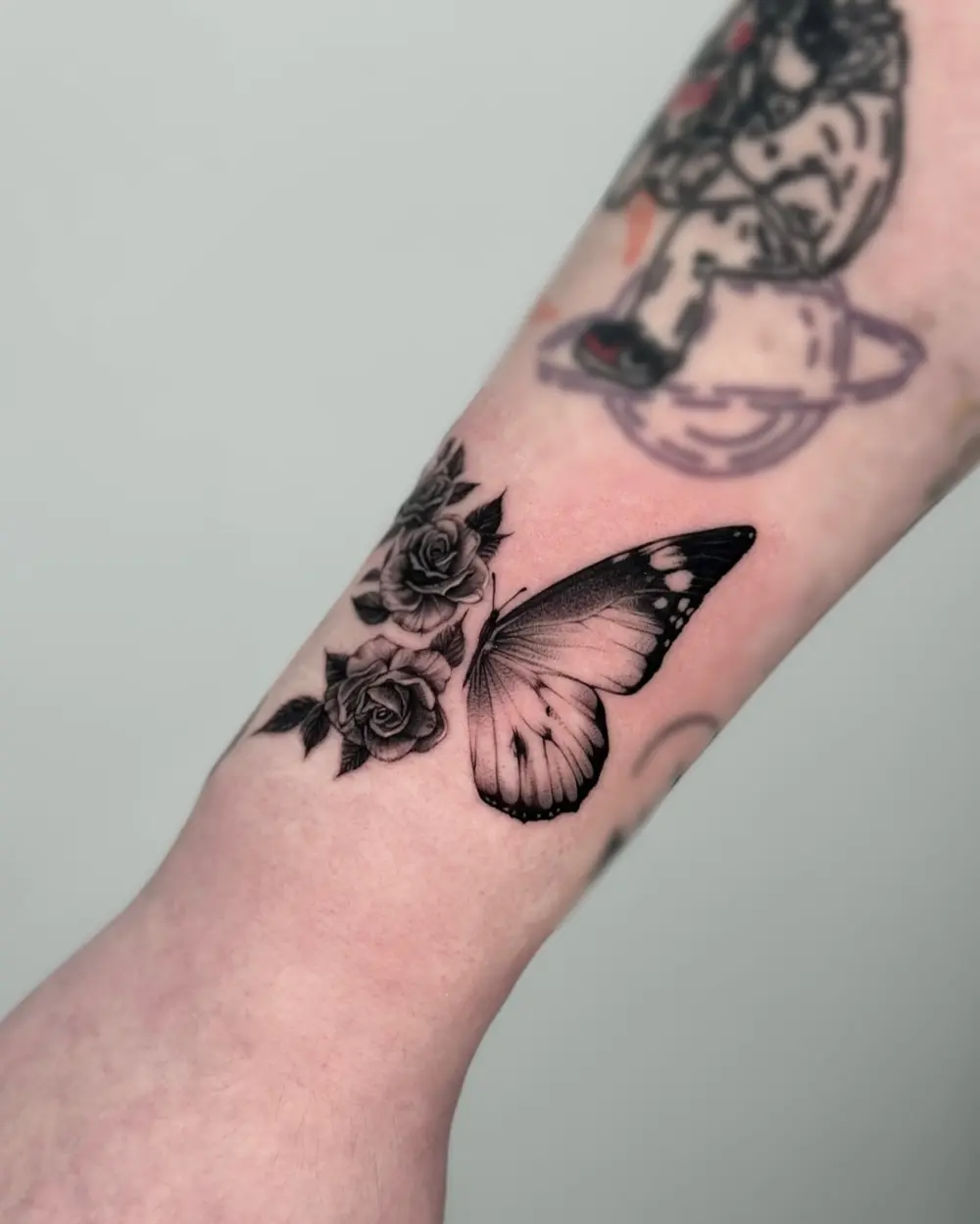 Rose, Nature, Animal, Flower