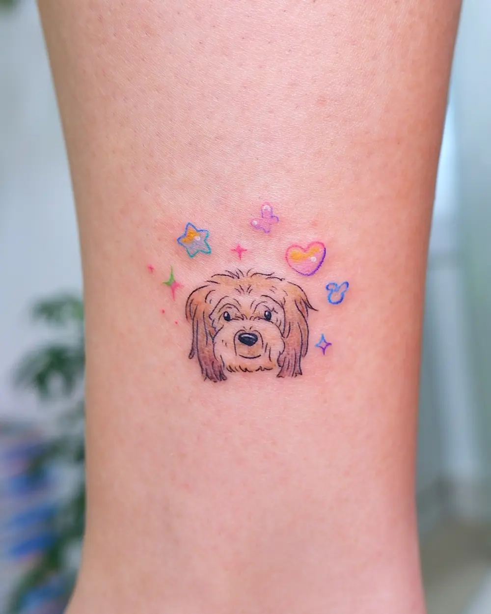 Mini, Animal