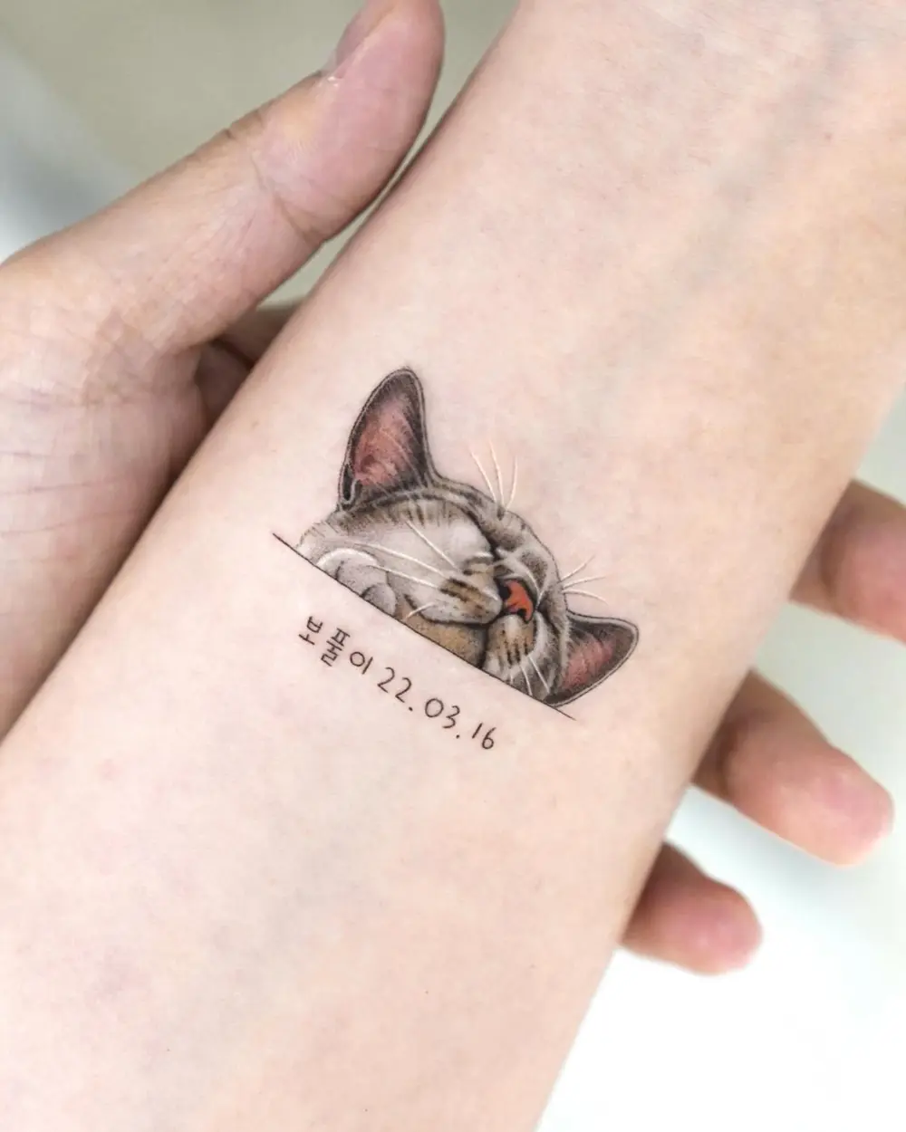 Animal