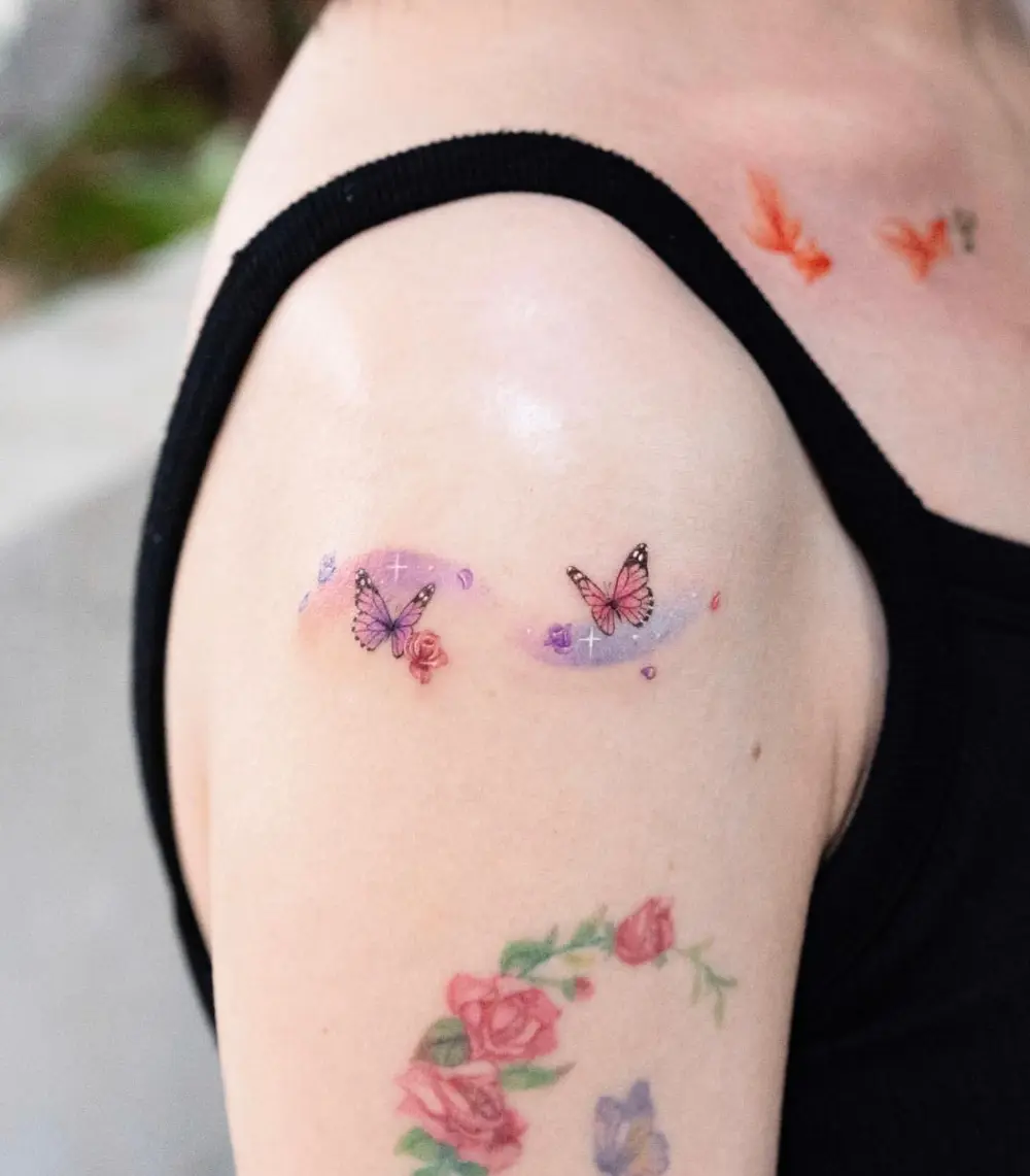 Animal, Rose, Flower