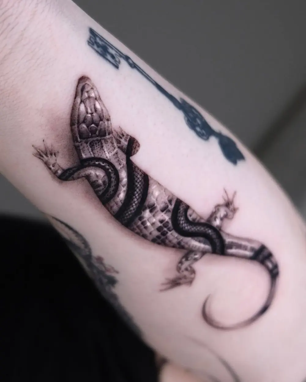 Animal, Snake