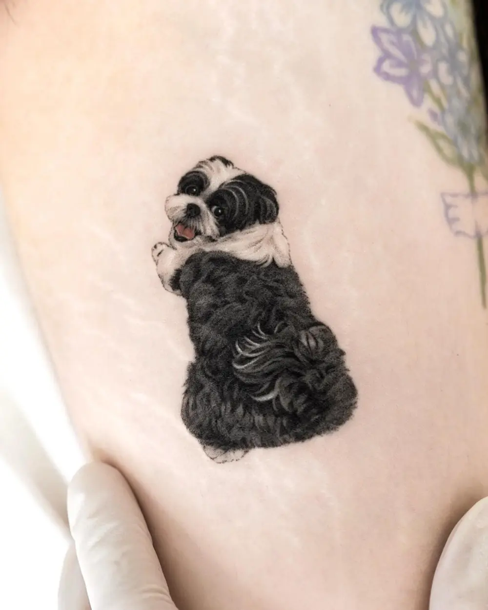 Mini, Animal