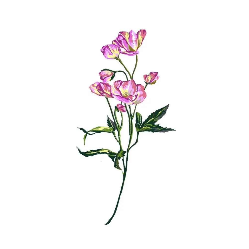 Flower, Nature