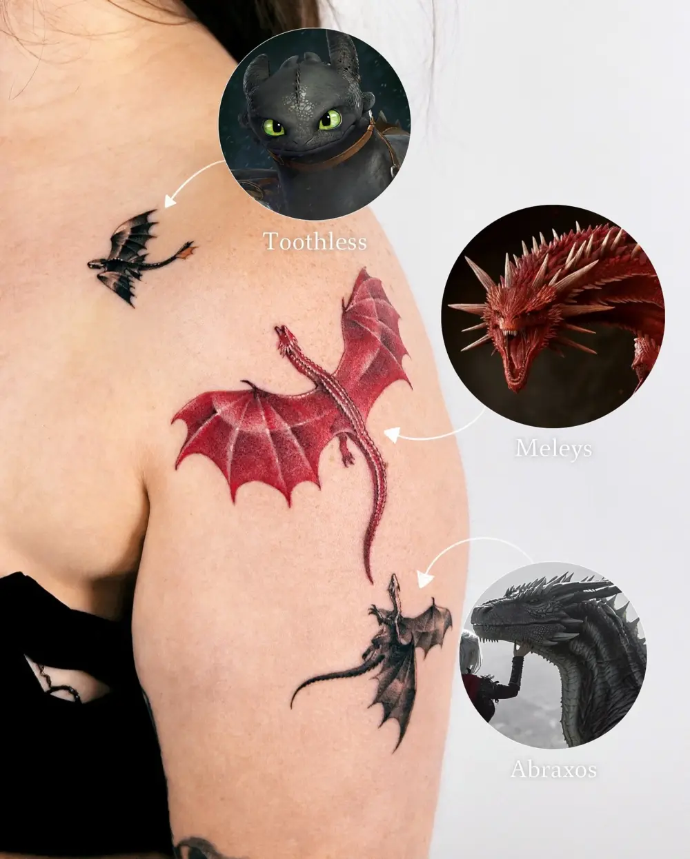 Animal, Dragon