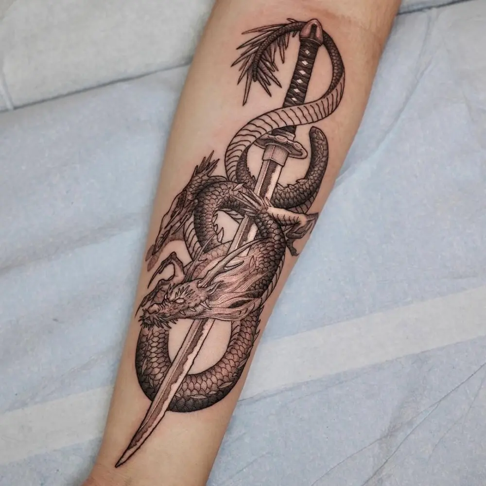 Dragon, Snake