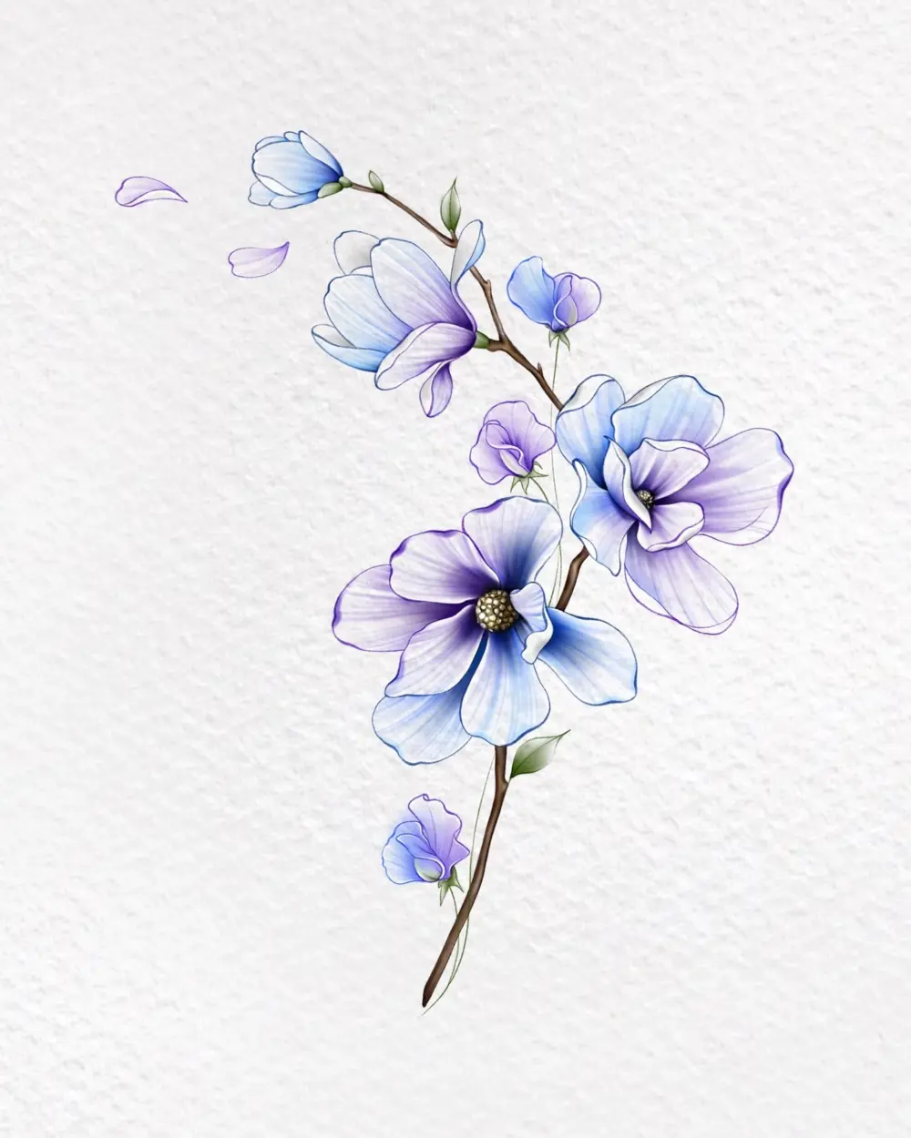Nature, Flower