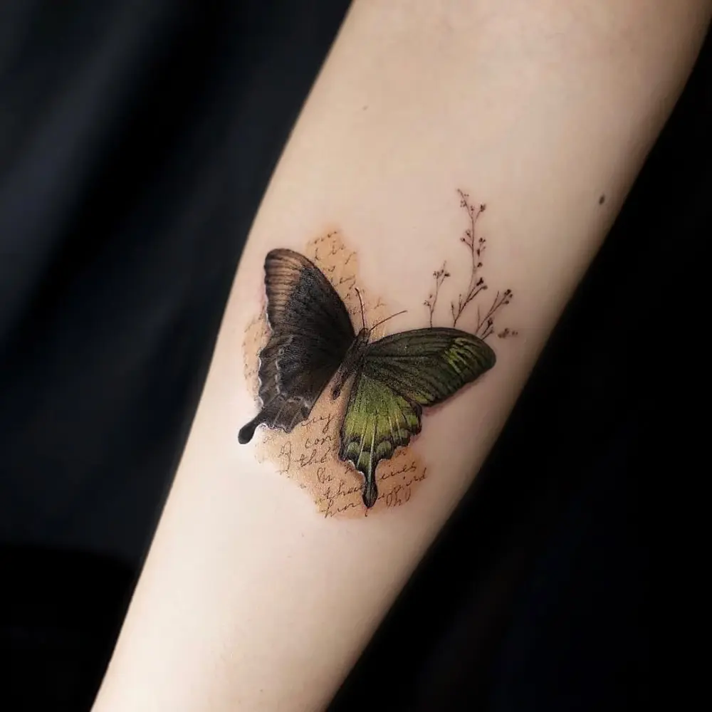 Animal, Nature