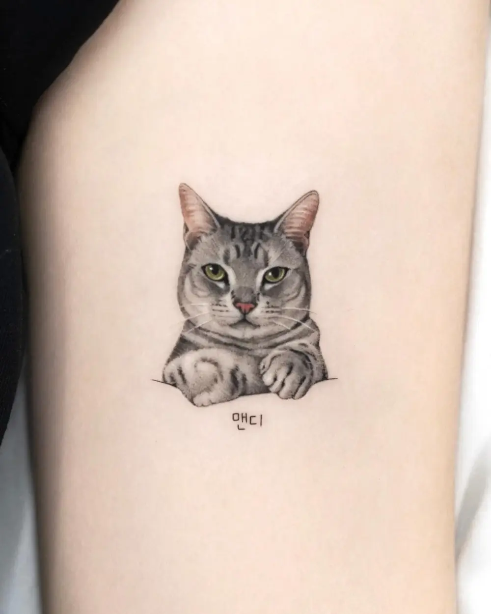 Animal