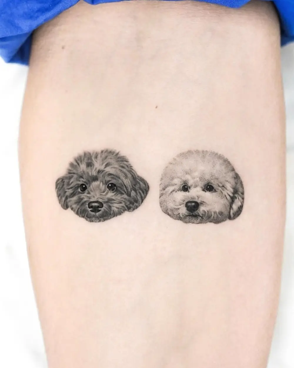 Animal, Mini