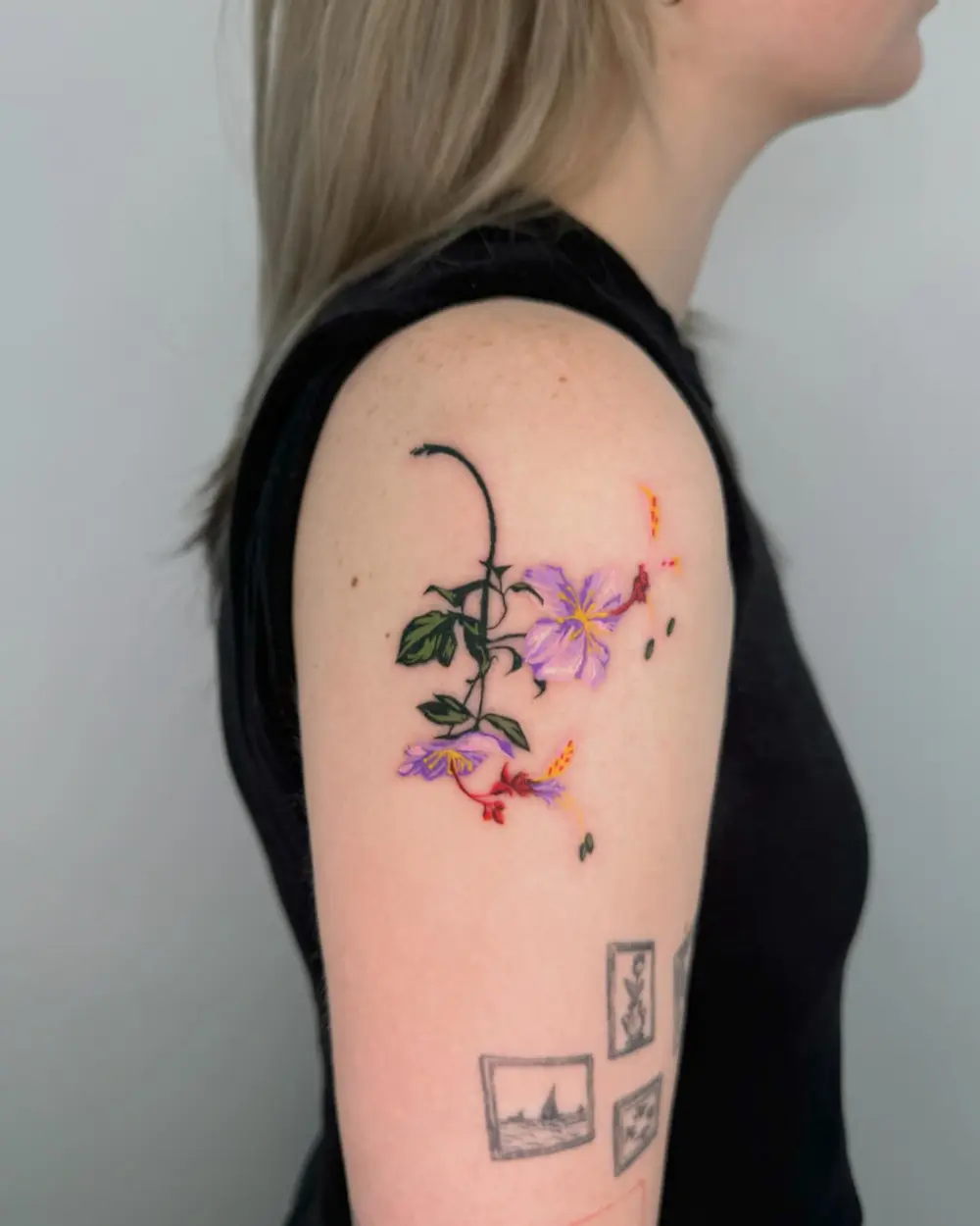Flower, Rose
