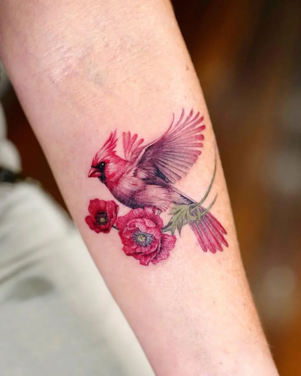 Animal, Nature, Flower