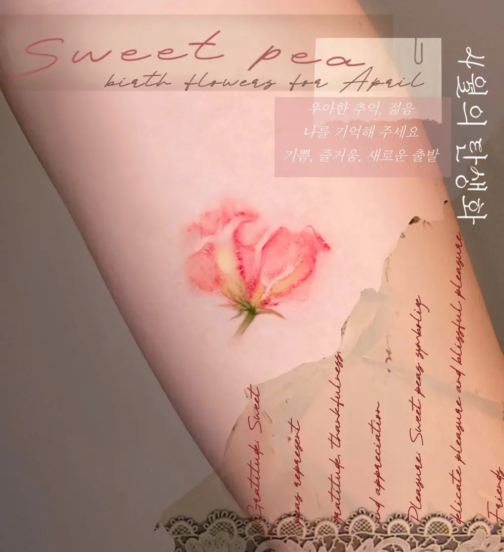 Flower, Lettering, Rose