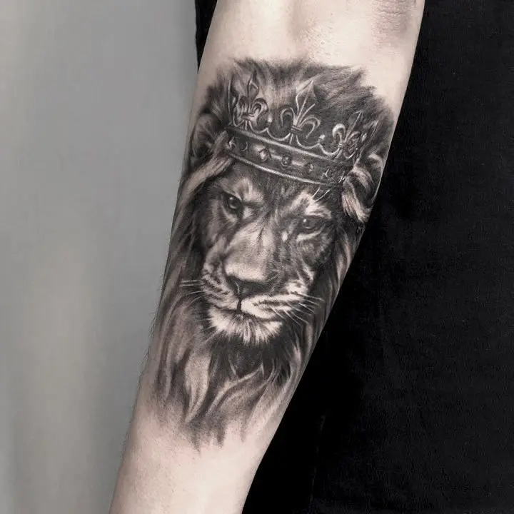 Tiger, Animal