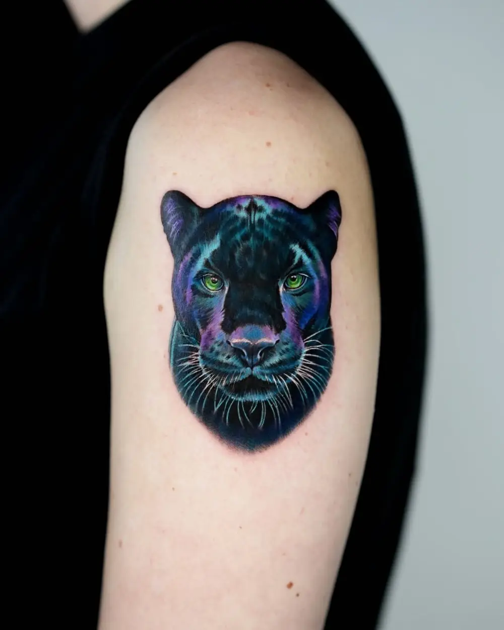 Animal