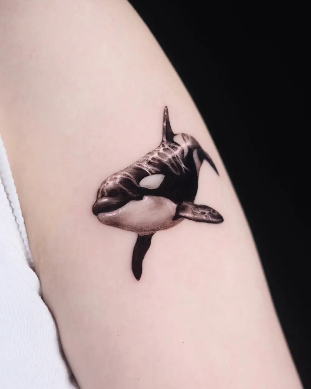 40.tatt