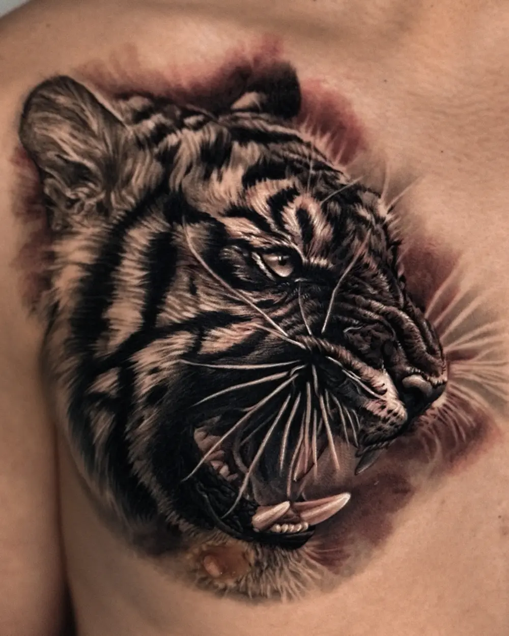 Tiger, Animal