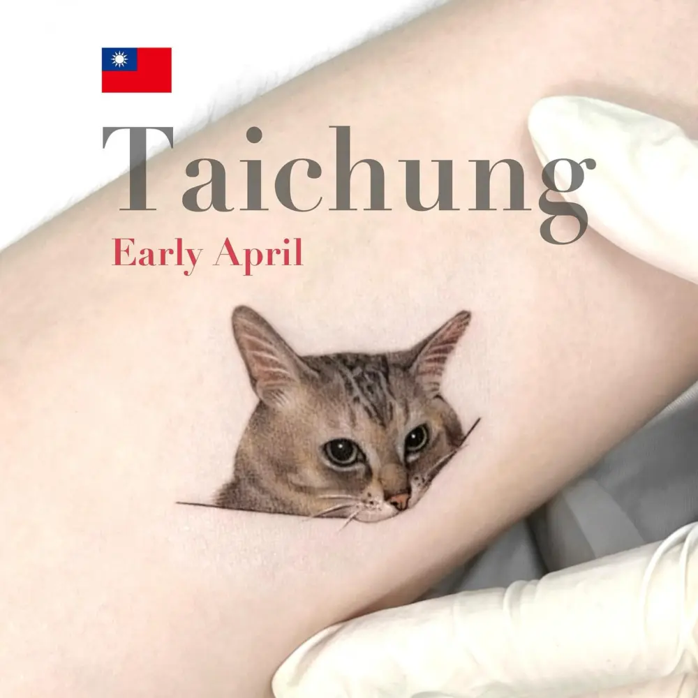 Animal