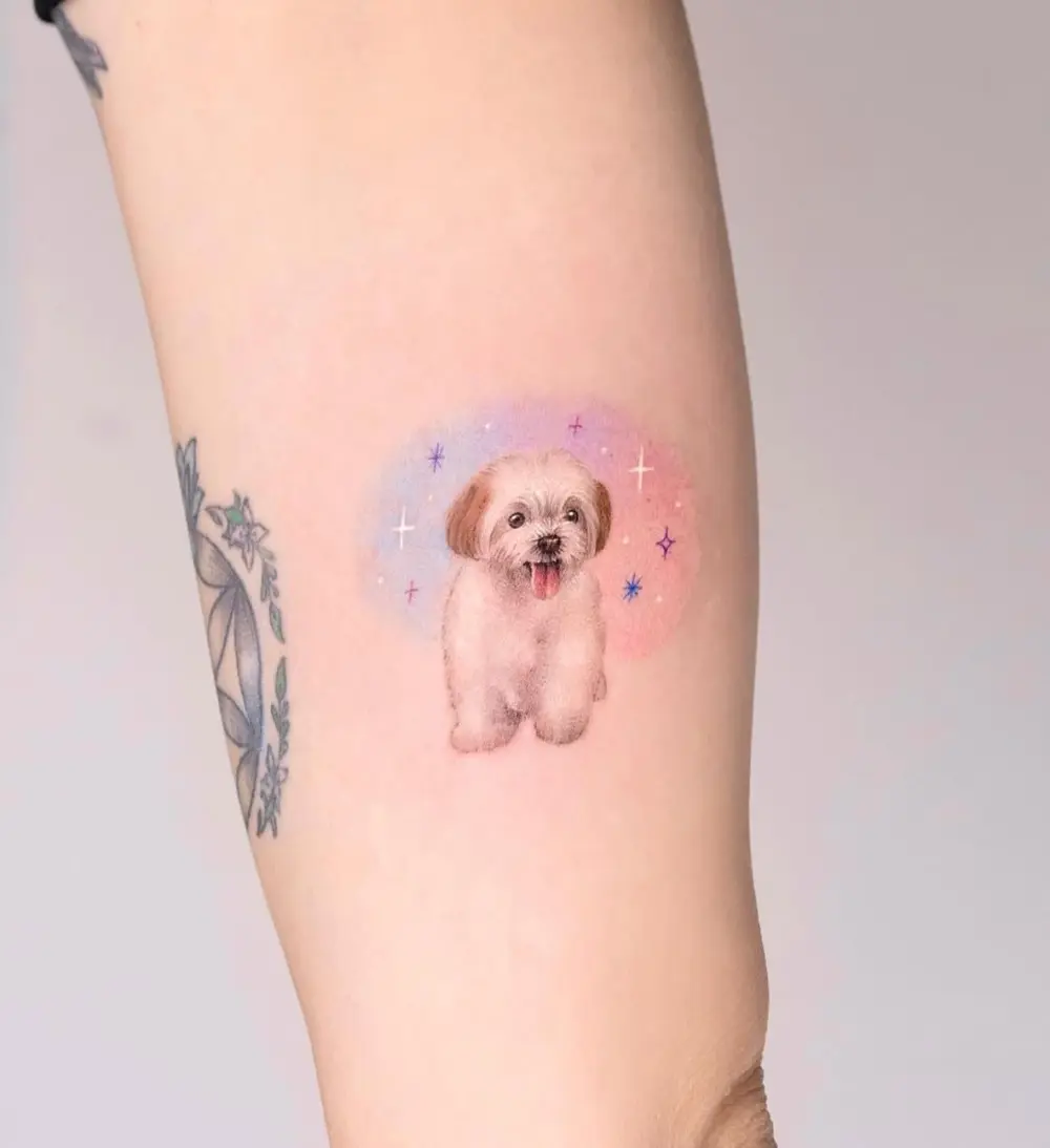 Animal, Mini