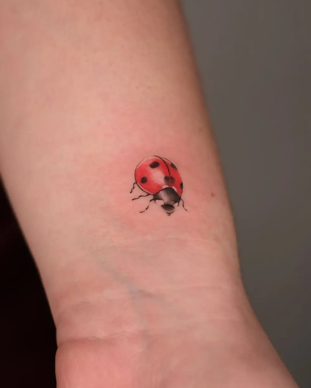Mini, Animal
