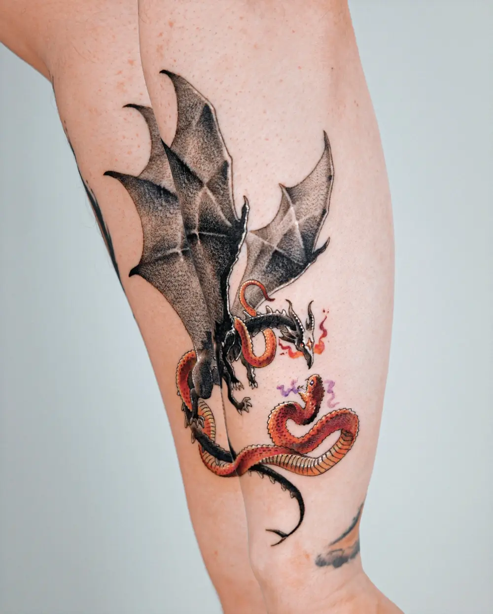 Snake, Animal, Dragon