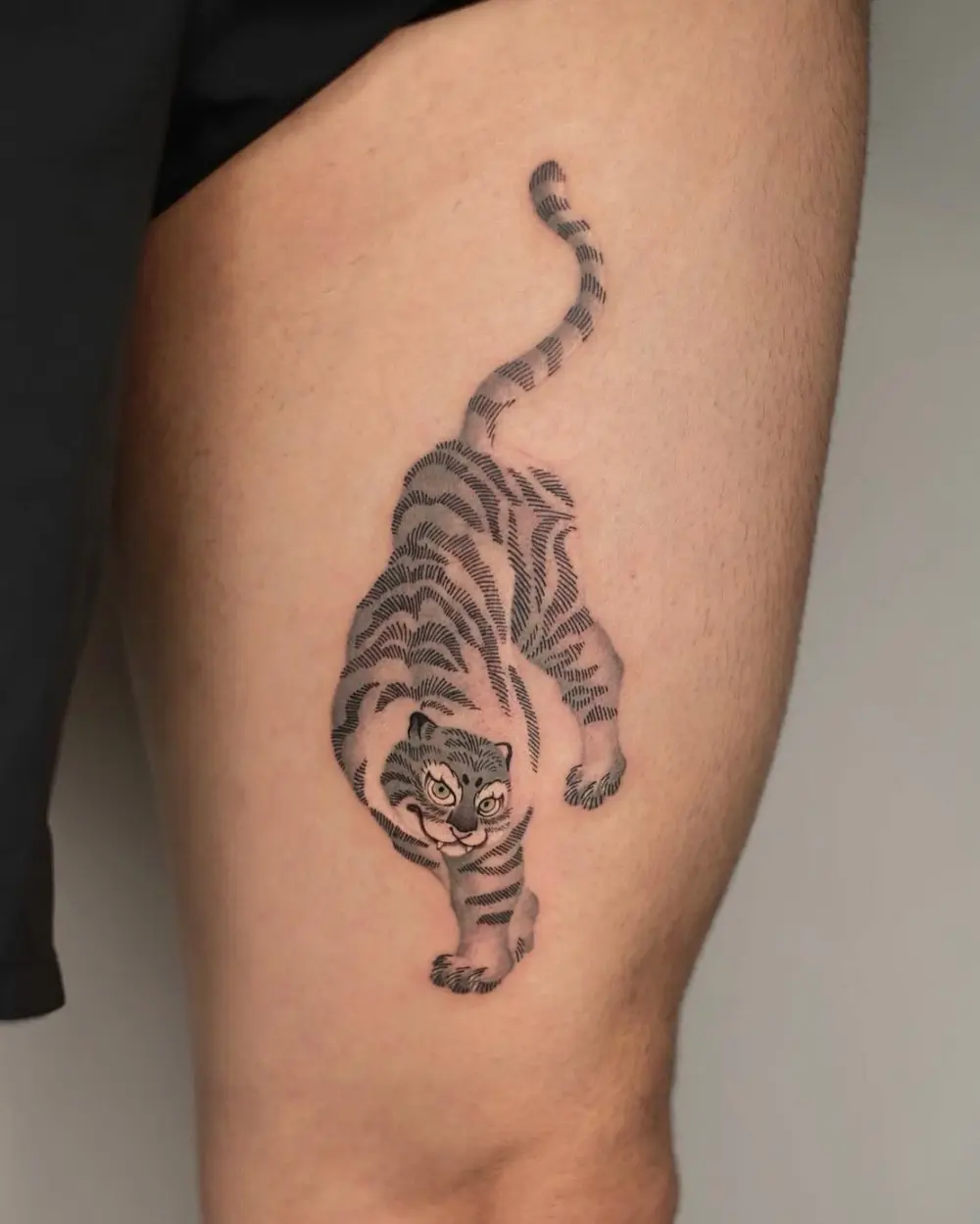 Tiger, Animal