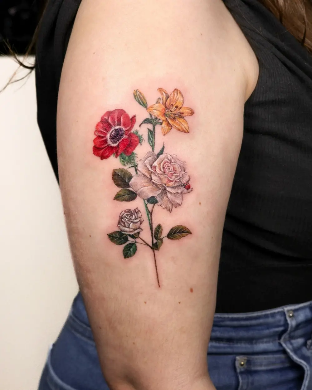 Flower, Rose, Nature