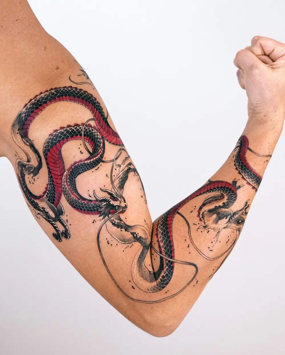 Snake, Animal