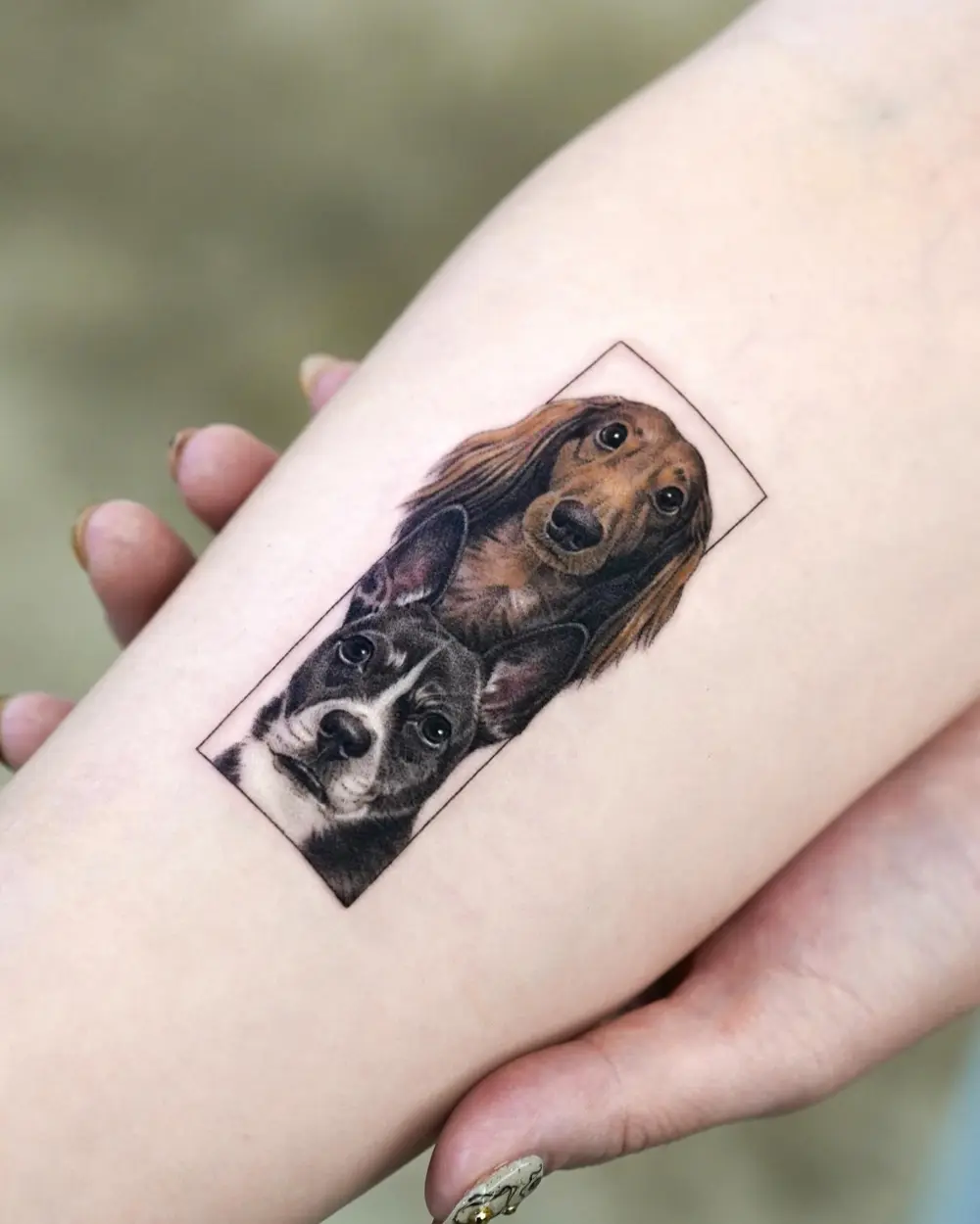 Animal, Mini