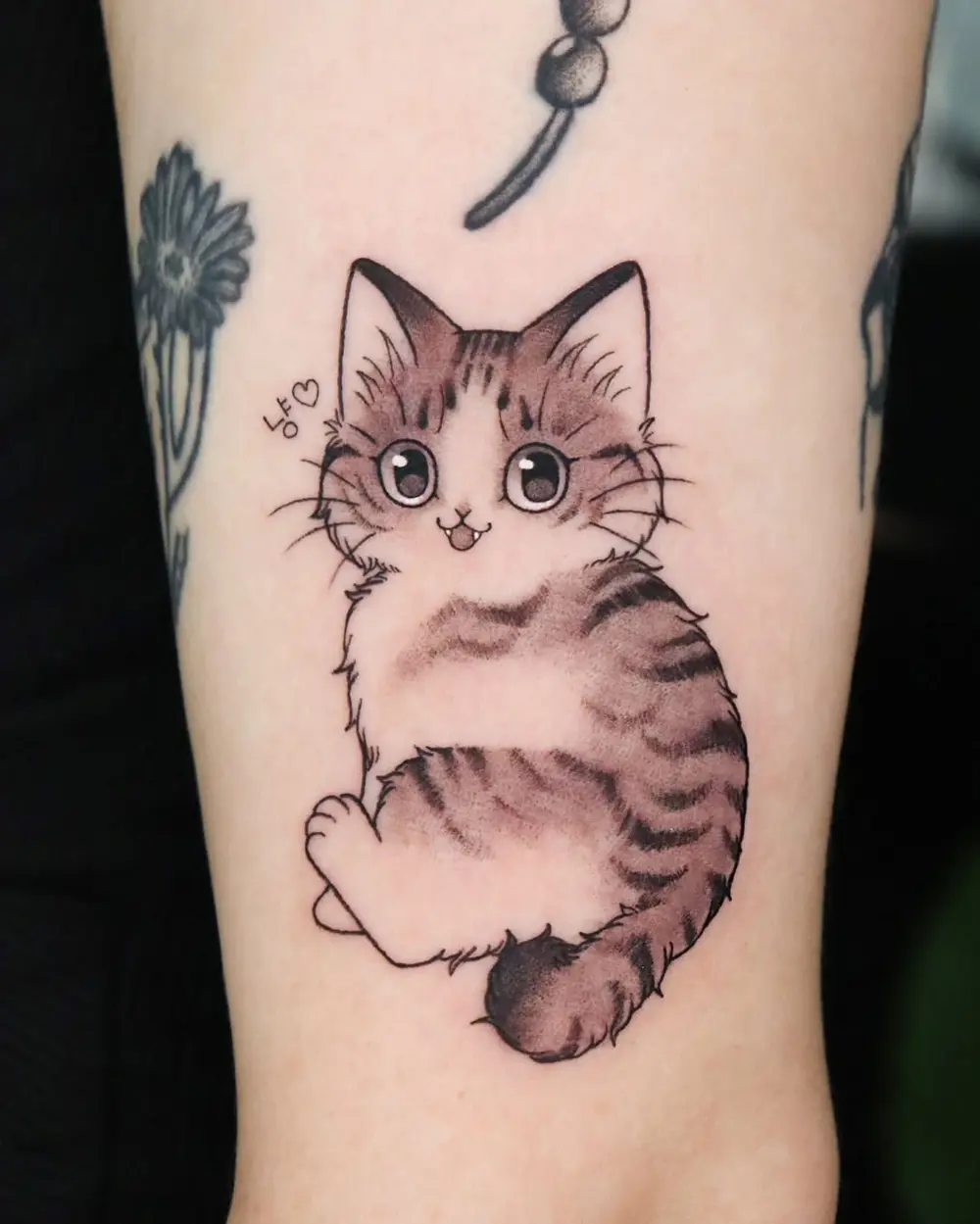 Animal
