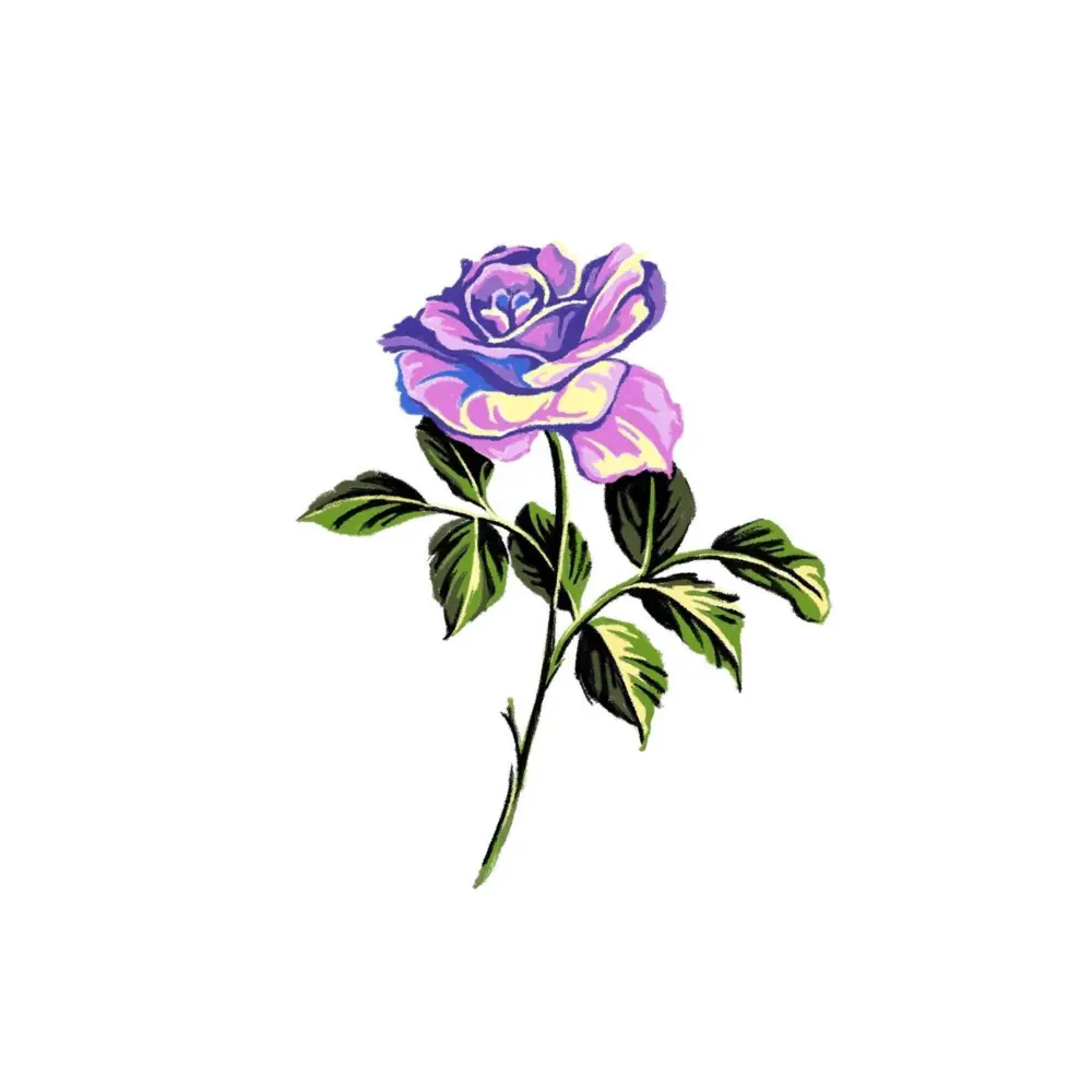 Flower, Rose