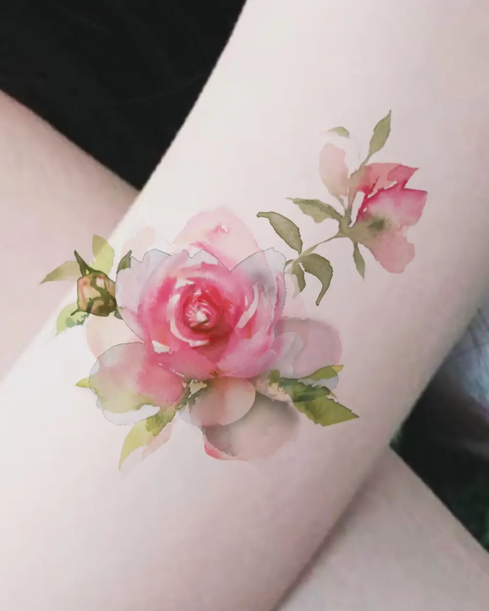 Flower, Rose