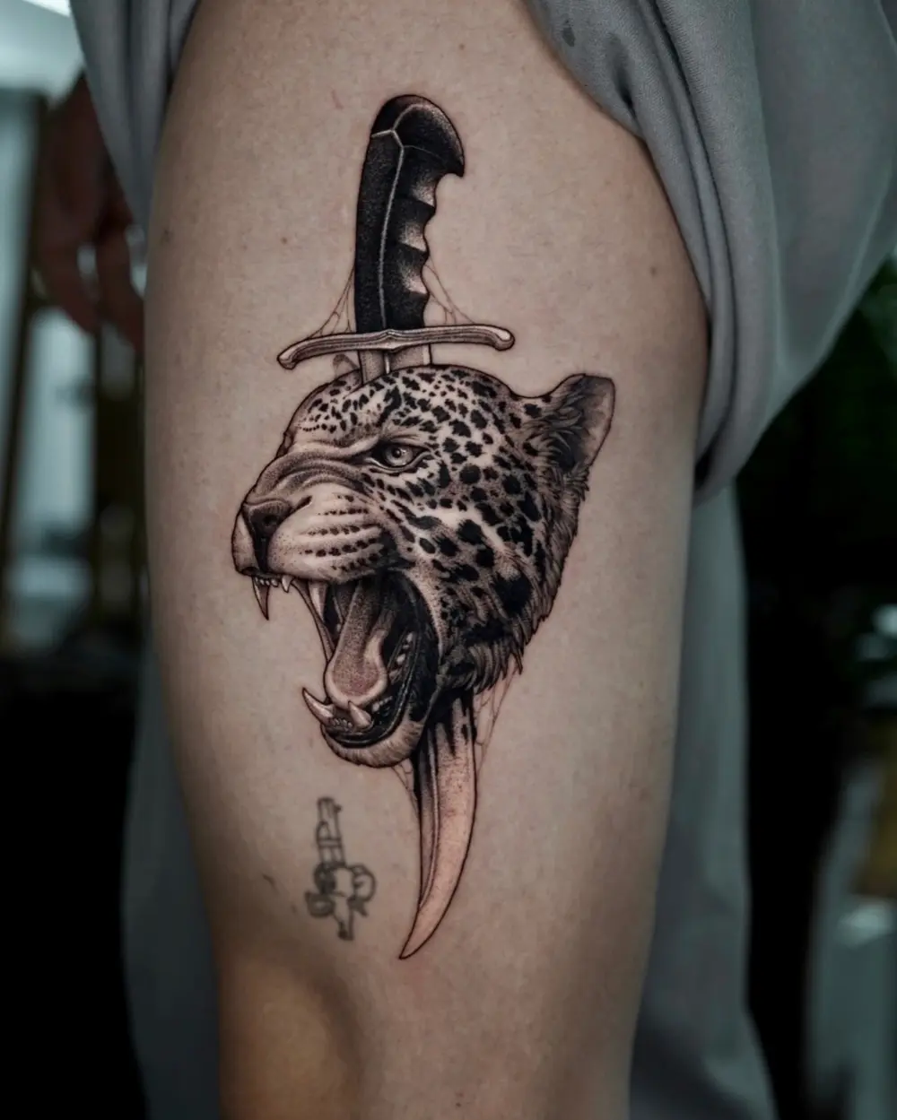 Animal