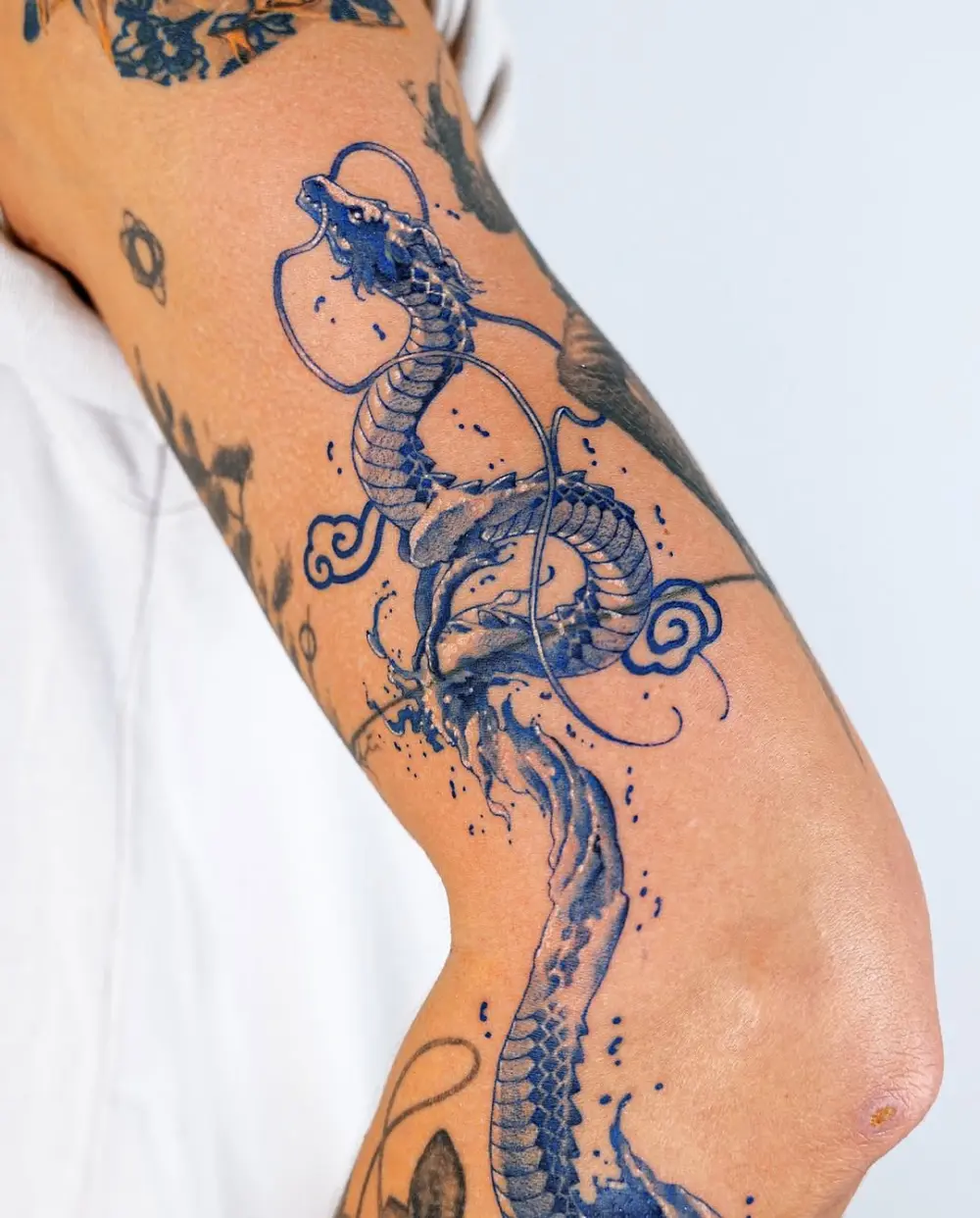 Snake, Animal