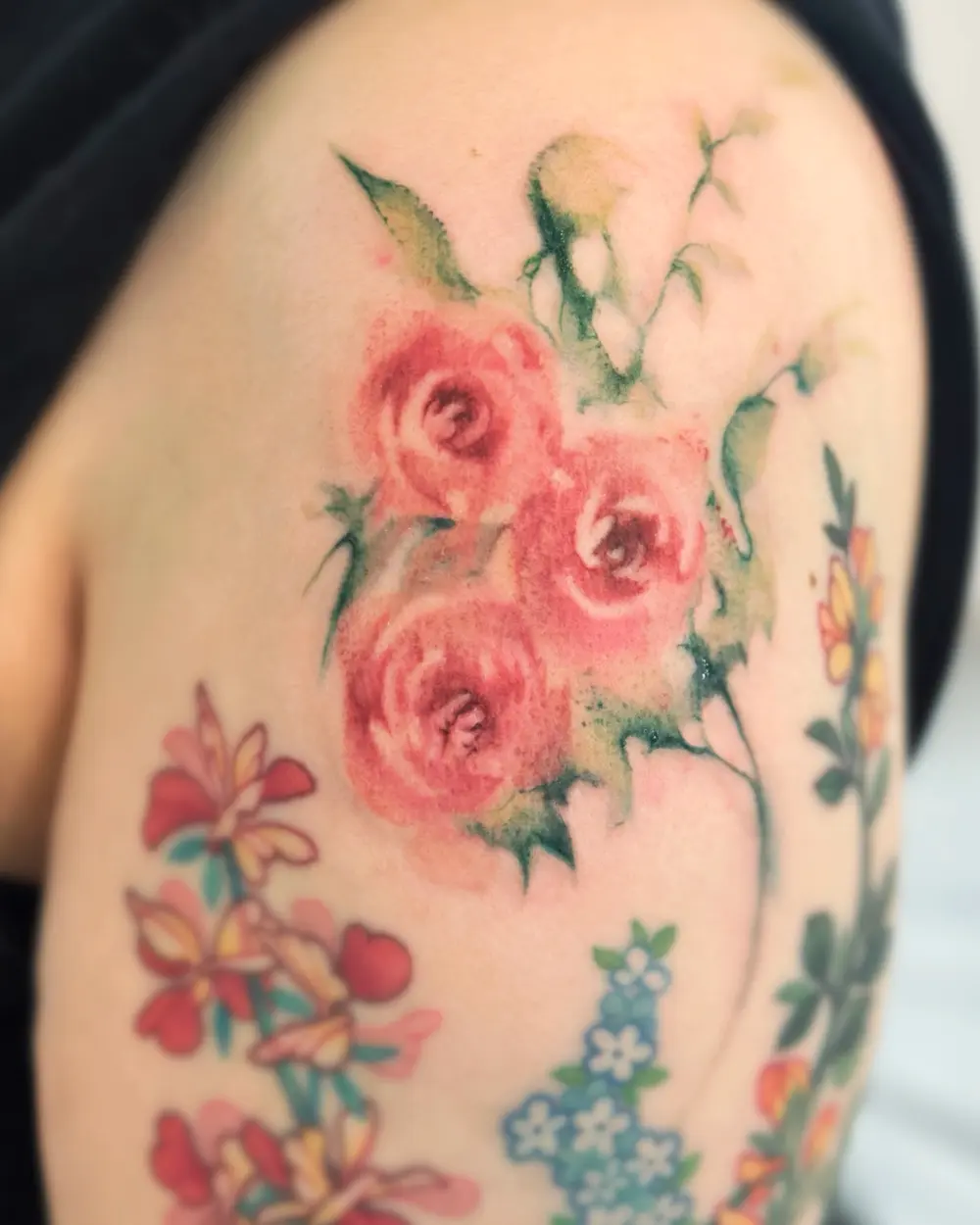 Flower, Rose