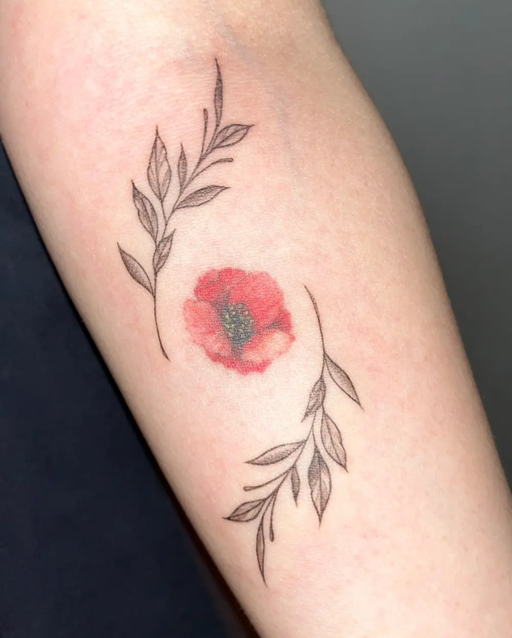Flower, Rose, Nature