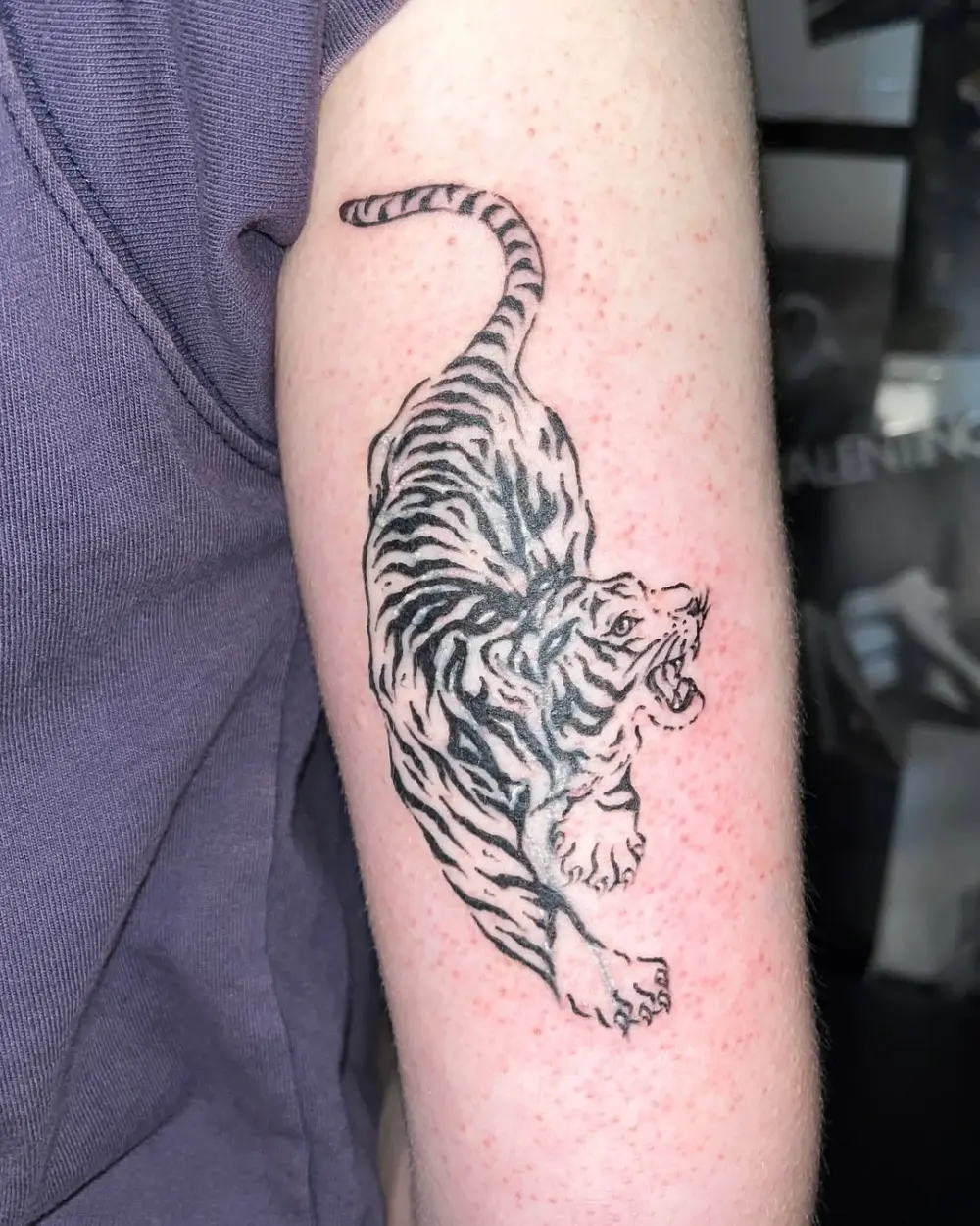 Tiger